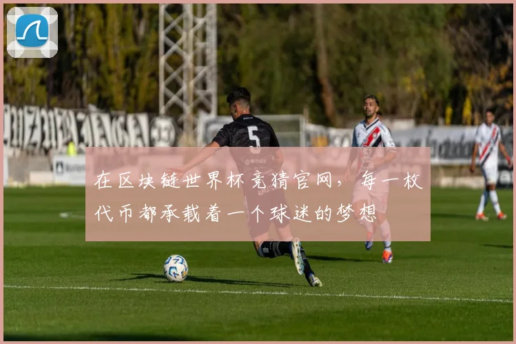 在区块链世界杯竞猜官网，每一枚代币都承载着一个球迷的梦想