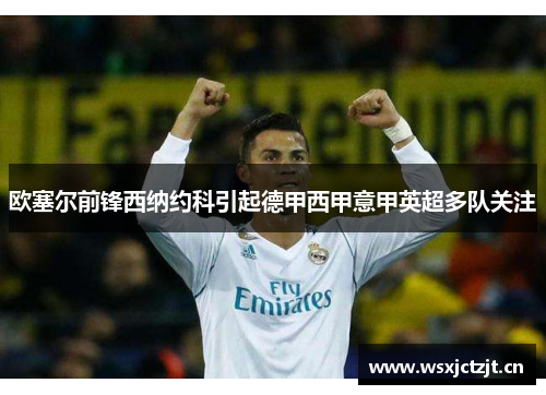欧塞尔前锋西纳约科引起德甲西甲意甲英超多队关注