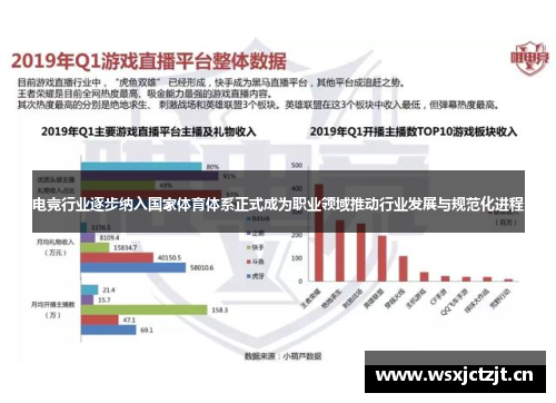 电竞行业逐步纳入国家体育体系正式成为职业领域推动行业发展与规范化进程